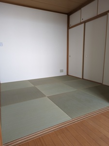 PXL_20230421_050100506.jpg
