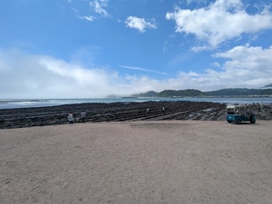 PXL_20230529_013420258.jpg