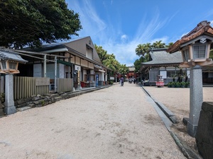 PXL_20230529_013432962.jpg