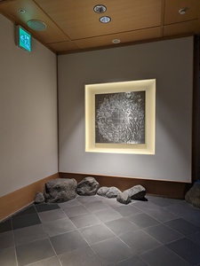 PXL_20230814_052336363.jpg