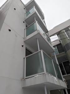 PXL_20240226_055850242.jpg