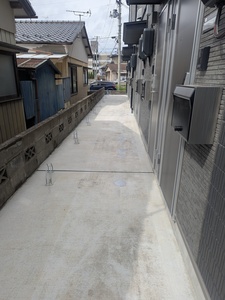 PXL_20250512_051428959.jpg