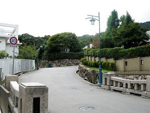 img_1.jpg