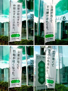 noka01_09.jpg