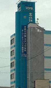 p1.jpg